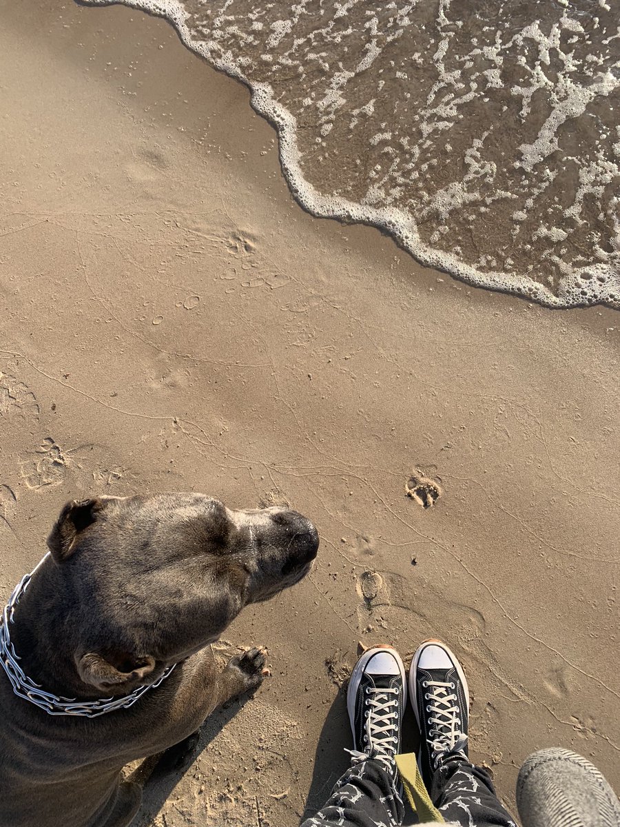 Allimeis's tweet photo. так хочу на тренировку, а не вот это все… очень скучаю🥺 
#rgts #7wolb https://t.co/I29aoFQHwX