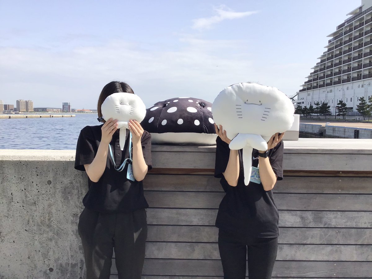 12/16まで値下げ中！　ポルカくじ　ハッピーマリン　特賞　特等　特大ぬいぐるみ ショップ情報】 まちにまったGWだー！🚗 アトアでは29日より水族館内の