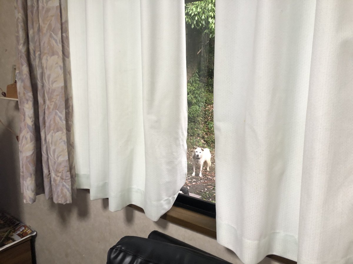 なんか視線感じると思ったら、、、