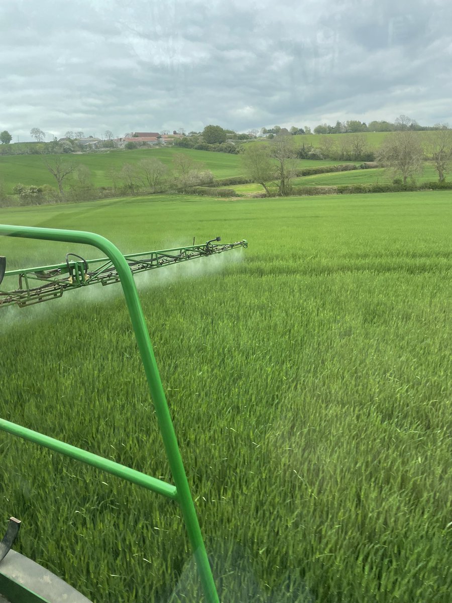 Will Heygate tweet media