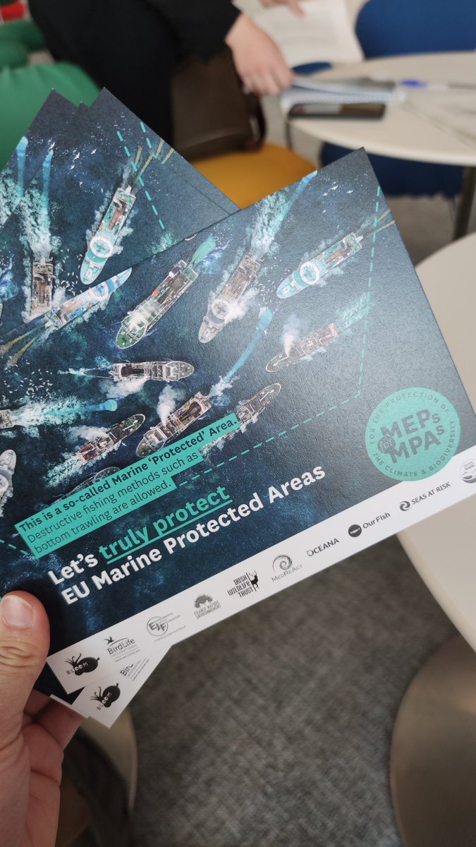 We're in the European Parliament today with @SeasAtRisk @OceanaEurope and many others to ask our MEPs to support a ban on bottom trawling in MPAs #MEPs4MPAs #30by30