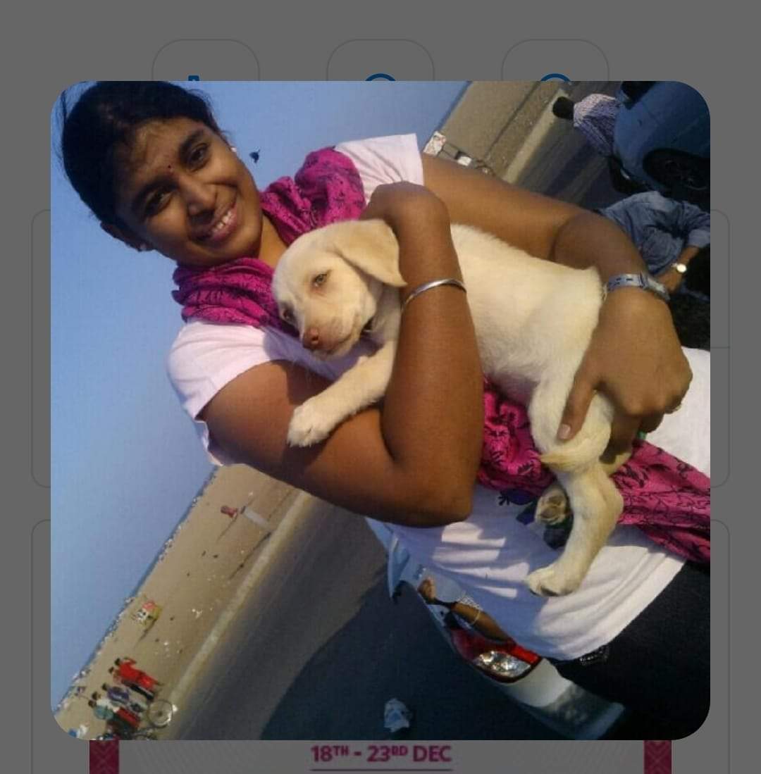 TilipanM's tweet photo. 2016.
#JusticeForRamkumar #JusticeForSwathi
Innocent -Ramkumar
Victim - Swathi.
Political Cause (Lover!) -Mohemed Bilal Sidiq. https://t.co/v6bcXWpeCd