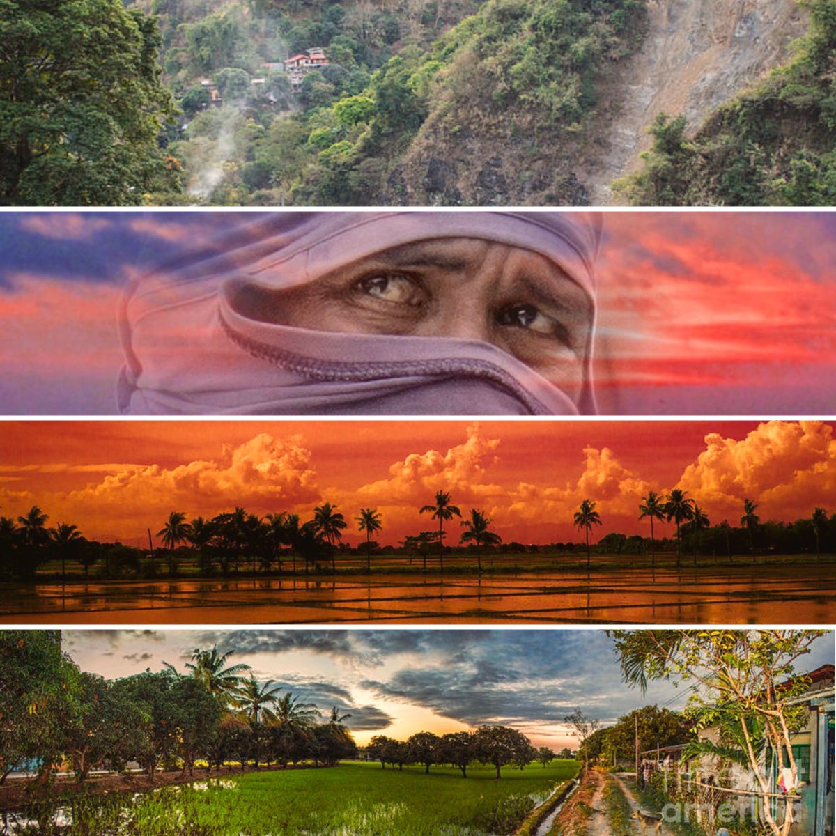 JimFitzartphoto's tweet photo. Some of Jim’s photos from Baguio, Palawan, & Bulacan, Philippines! https://t.co/dHhzCT6PEY #filipinos #baguio #luzon #Philippines #photography #portraitart #art #jimfitzpatrick #landscape #beauty #riceterraces #atimtop60masters #create4peace #Filipino #palawan https://t.co/Jy1JmVJfZc