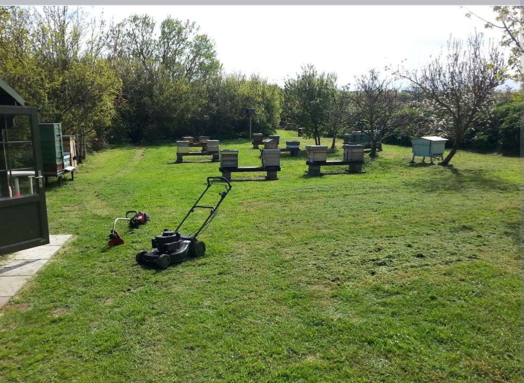 It would seem that Wednesday's are cutting the grass day.... keep it up chaps, great job!