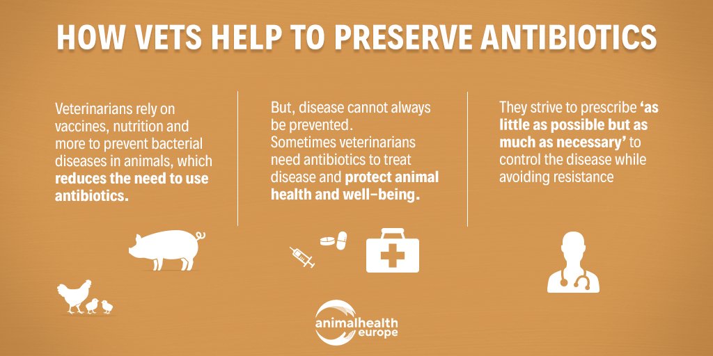 animalhealthEU's tweet photo. Vets help ensure the responsible use of all animal medicines, including #antibiotics 👩⚕️
Only through #ResponsibleUse can we help #KeepAntibioticsWorking and ensure their efficacy for the future ✅
@FVEurope @FecavaVets https://t.co/rP5d5kJiHp