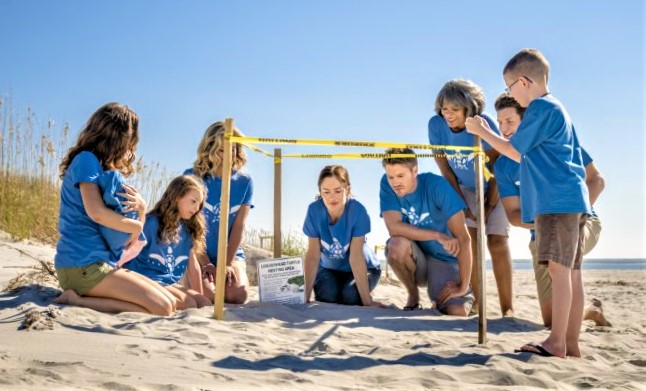CorrineCarrier4's tweet image. It is Sea Turtle Nesting &amp;amp; Hatching Time! Be careful around dunes, give mothers and hatchlings alike a clear path to the sea, and go dark at night. Sea turtles lay eggs May - September hatching June - September, though some have already begun. #SeaTurtleNesting #SeaTurtleHatching