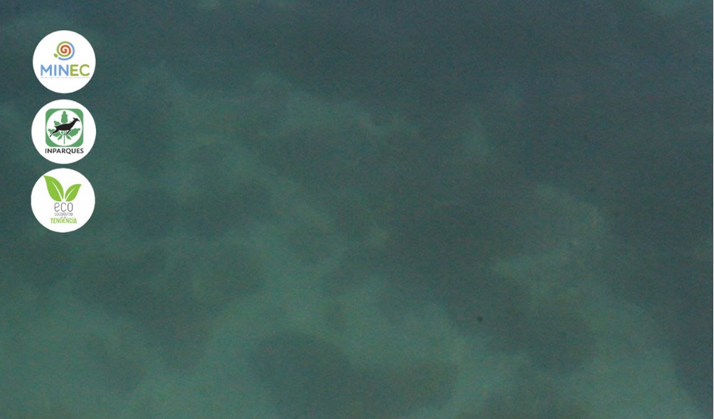 Con el objetivo de resguardar los espacios naturales de la Nación, durante ochos semanas continuas se realizó la limpieza superficial y subacuática en la Bahía de Patanemo, situada en el estado Carabobo, a propósito de la propagación del coral invasor Xenia SP. 

#28Abr