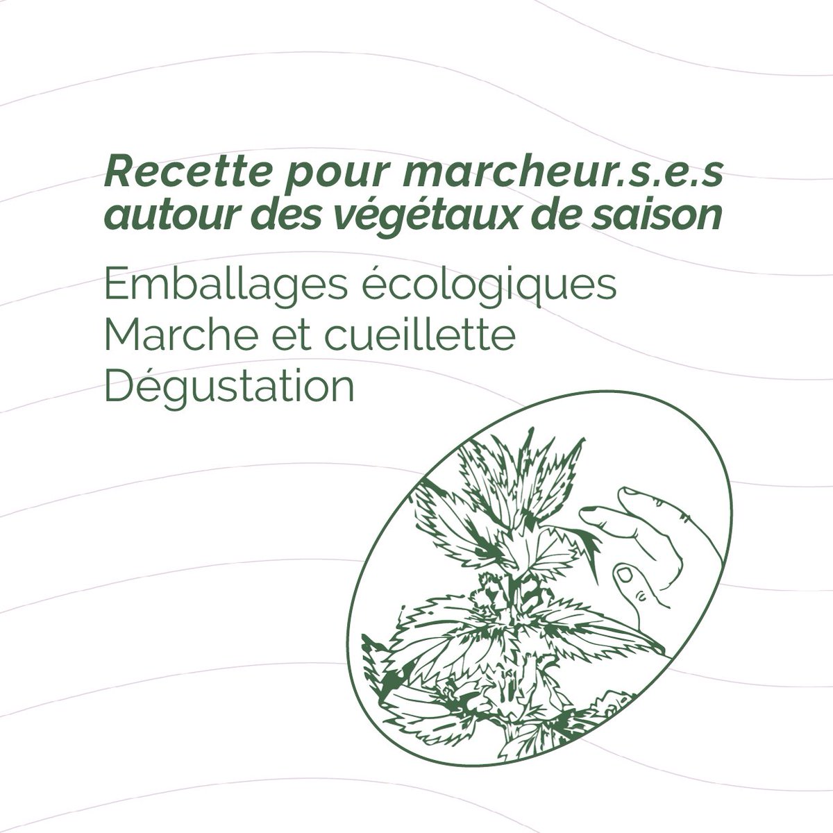 [RECETTES D’ITINERANCES]
SAMEDI 14 MAI de 10h à 13h
Cueillette et cuisine :
#instafood #cuisine #food #negrepelisse #atelier #promenade #cueillette #cueillettesauvage #ballade #plant