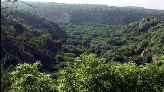 UmeshKumar0005's tweet photo. Amid the severe heatwaves in India over 2 lakh trees will be felled in the Hasdeo forests for COAL mine..
Brace for such heatwaves people we deserve it...

@bhupeshbaghel @ChhattisgarhCMO
@aajtak @ZeeMPCG @drramansingh  

#SaveHasdeo_SaveTribal
#SaveHasdeo 
#SaveSoil https://t.co/JxuwAIj7fW