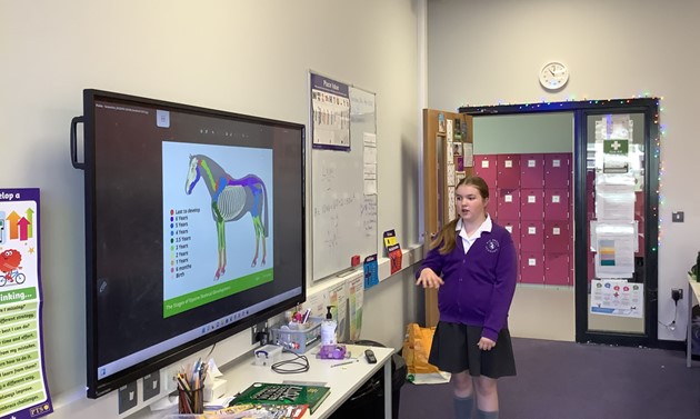 PixBrookA's tweet photo. Evie in Yr 6 became the class expert when discussing evolution of horses today in science. Evie shared her passion of horses &amp; pictures of her horse Lucky. The class discovered the first known species of horse were called Hyracotherium and were only 0.4m tall &amp; had a 4 toed hoof! https://t.co/fXKUaHkj7H