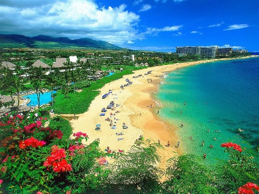 The Hawaiian Islands 💜💙