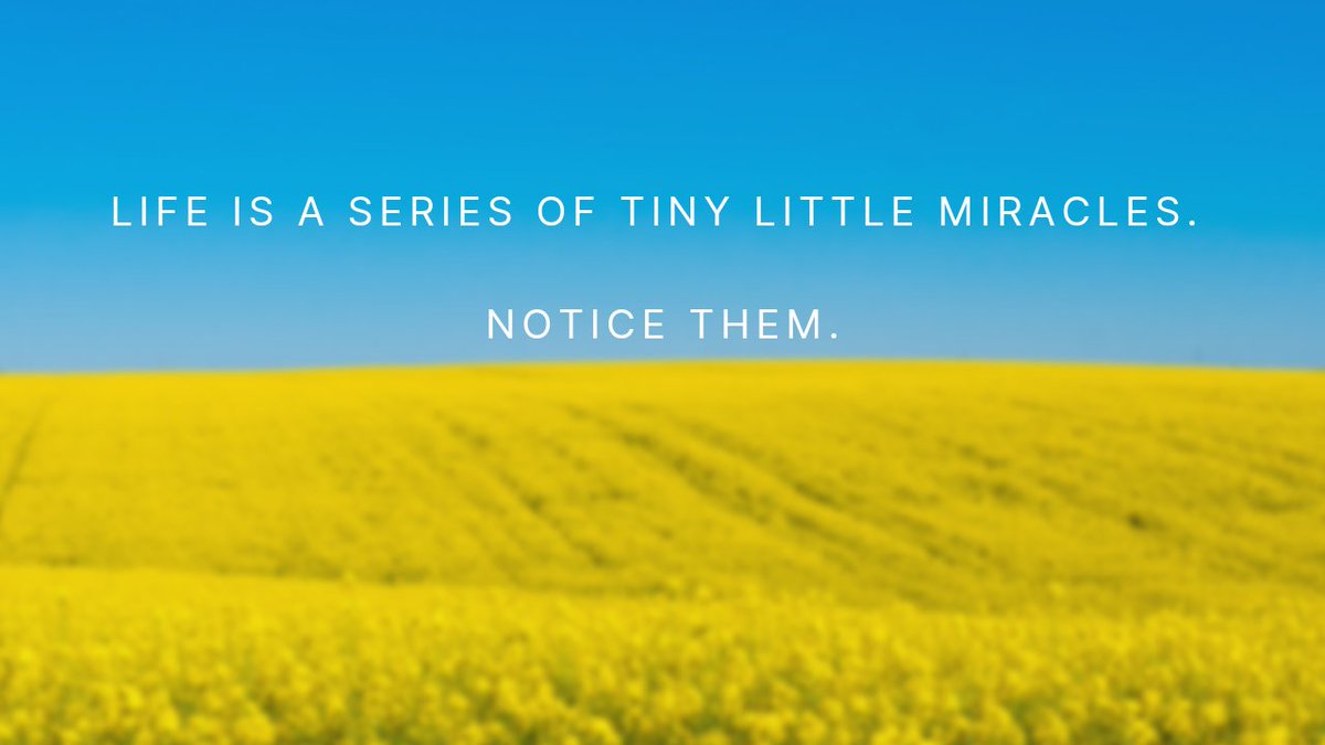 DanicaDreamer's tweet photo. Happy Thursday! #ThankfulThursday #miracleshappeneveryday #noticethelittlethings #enjoylife #appreciateit #purposefulliving #thereisbeautyallaround #breatheenjoylove #countyourblessings #hapinessishere #danicadreamer https://t.co/NHlpcvE8hl