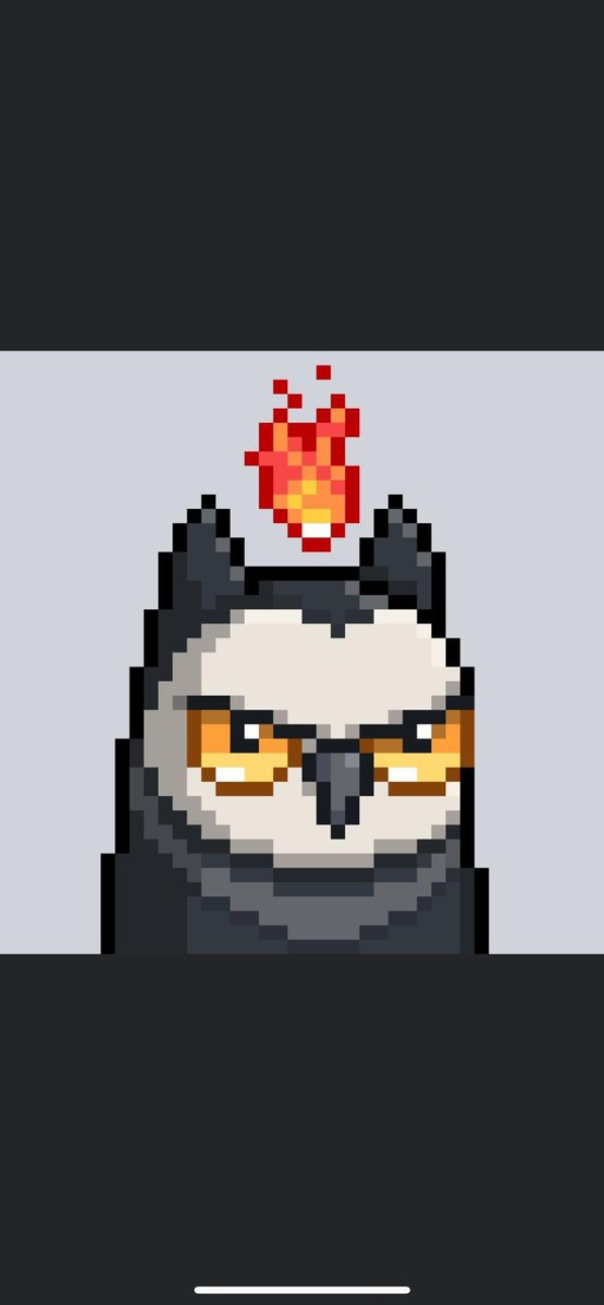 ChuManYan1's tweet photo. @ryancarson @moonbirds https://t.co/OhXTtTfBtG