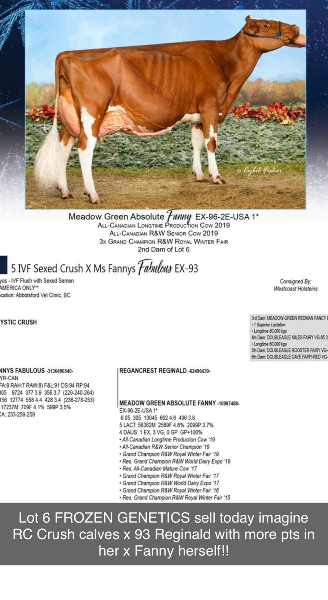 Add me on Snapchat! Username: chrislindhout t.snapchat.com/nMfT2dUR