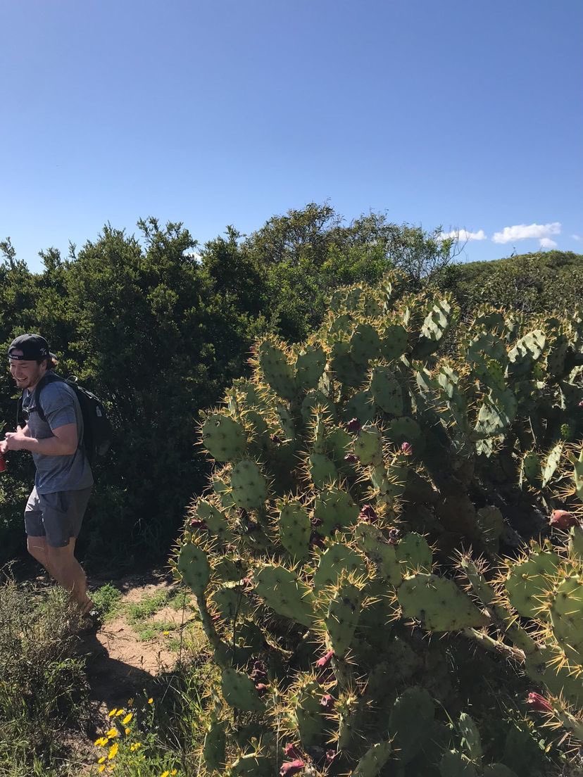 moffat55's tweet photo. Whats good dogs 👋🏻 been taking the last few days a little “slower” to give the body/liver some time to heal, nonetheless some great times. Met some Canadian girls who rented a car and gave me a lift from Lagos to Albufeira where we found a private beach 👌 https://t.co/OxOUcbdleV