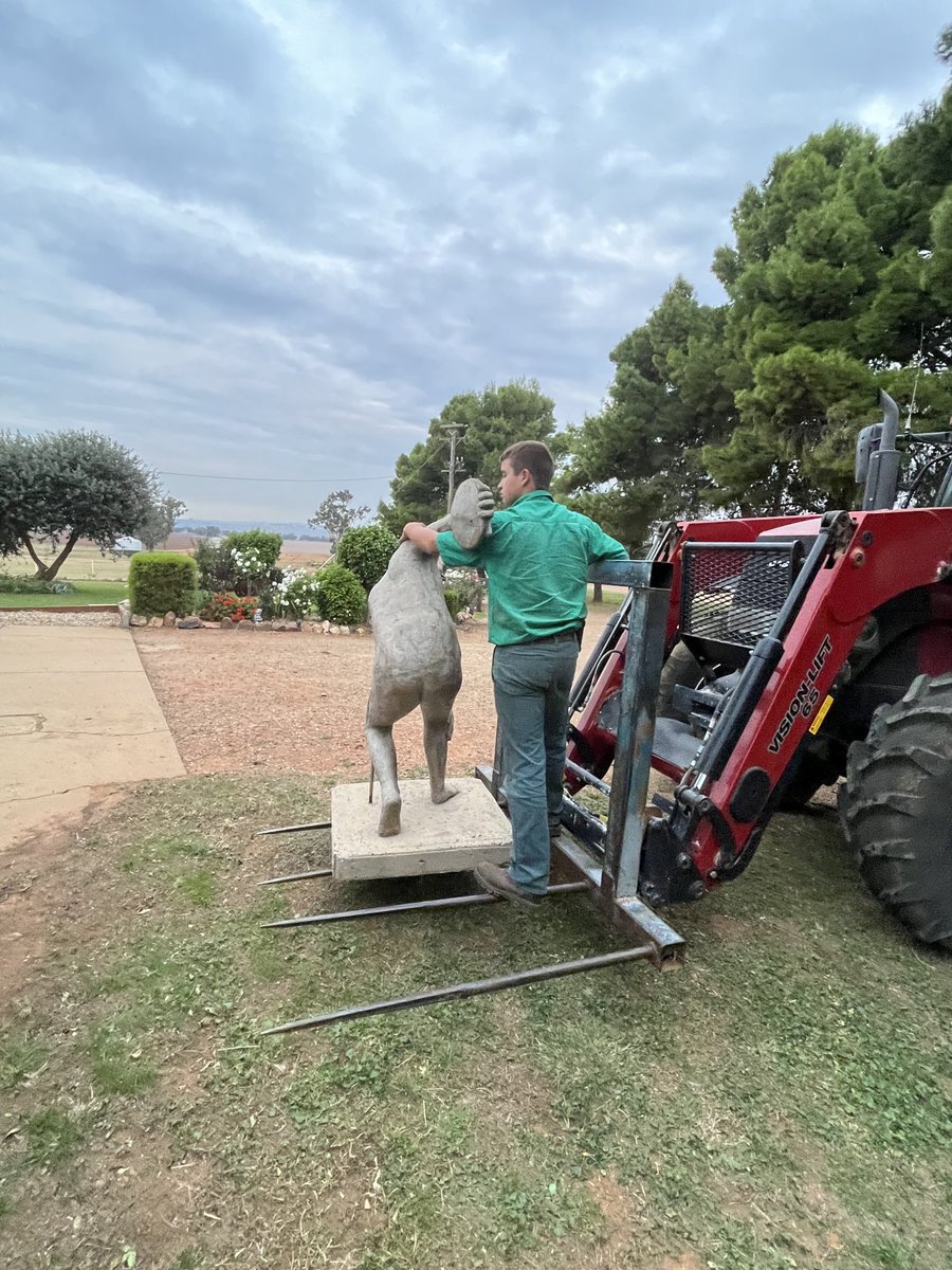 Deb Charlton tweet media