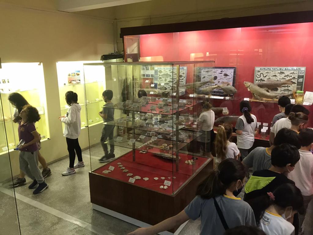 3. sınıf öğrencilerimiz Fen Bilimleri dersi kapsamında Ege Üniversitesi "Tabiat Tarihi Müzesi"ni gezdiler.
Geçmiş ve gelecek arasında bağ kurdular.🐧🪱🐬🦒🦬🐊🦖 
#UğurluOlmak