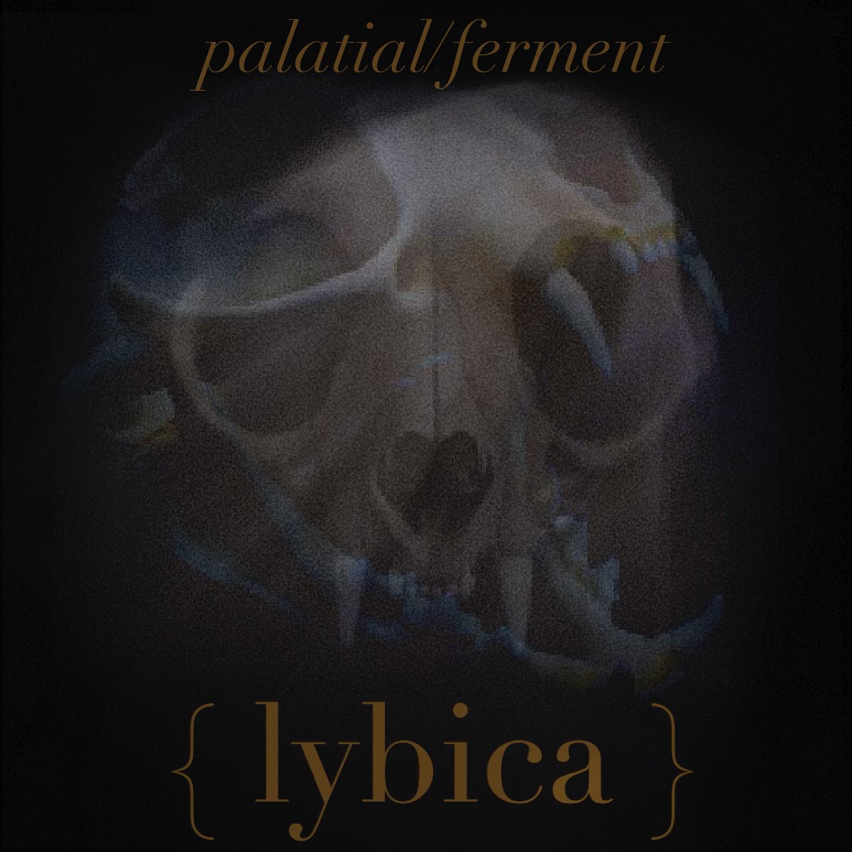 Today we are pleased to share the double single for 'Palatial' & 'Ferment'. You can hear these, & view the official video for 'Palatial' via linktr.ee/lybica. We look forward to seeing you at the Haven Lounge in Orlando on May 7. Tickets available now, also at the above.