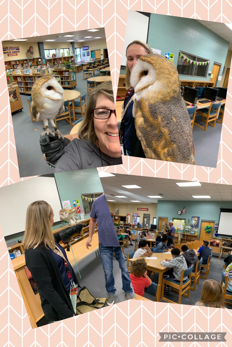 lrmsmedia's tweet photo. Thanks to Mr. Gentry at Hawk's Manor Falconry for coming today for our 6th Graders. 6th Grade EL Extension = Live learning. Thanks Ms. Maley &amp; Ms. Day for setting this up!  @wcpssdll #WonderWake (I'm wearing my cool new T-shirt but you can't see it - It's a good day to Wonder!) https://t.co/GEterINHtq