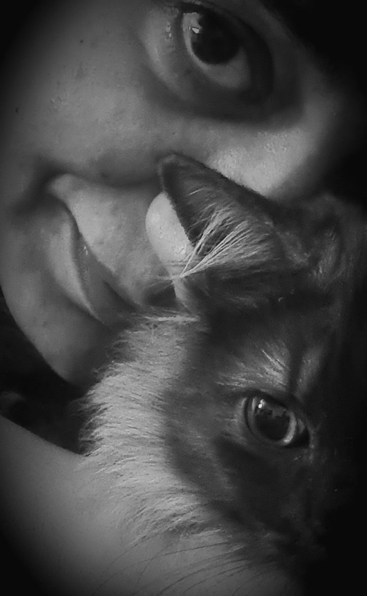NesreenMagdy9's tweet photo. #RCPathPets https://t.co/48zr6DEnoU
