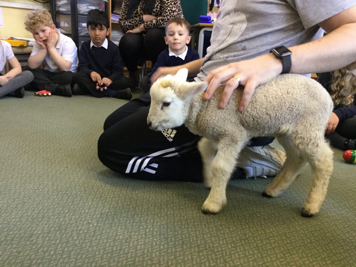 WestStreetPS's tweet photo. New post (Spring has sprung in Reception) has been published on West Street Community Primary - https://t.co/Of7PIJTltT https://t.co/gOFI9mTHEs