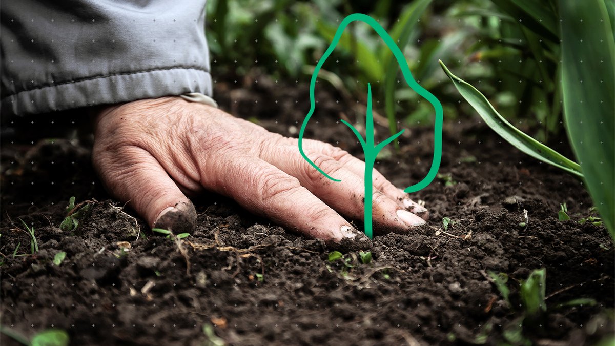 CCPSolutions's tweet image. Together, we can make the world a more eco-friendly place.🌱

Kyocera's #ECO footPRINT Toner #Recycling Program gives you the chance to do your bit for the #environment. 

♻️ Find out how it works: kyoceradocumentsolutions.us/en/support/ton…