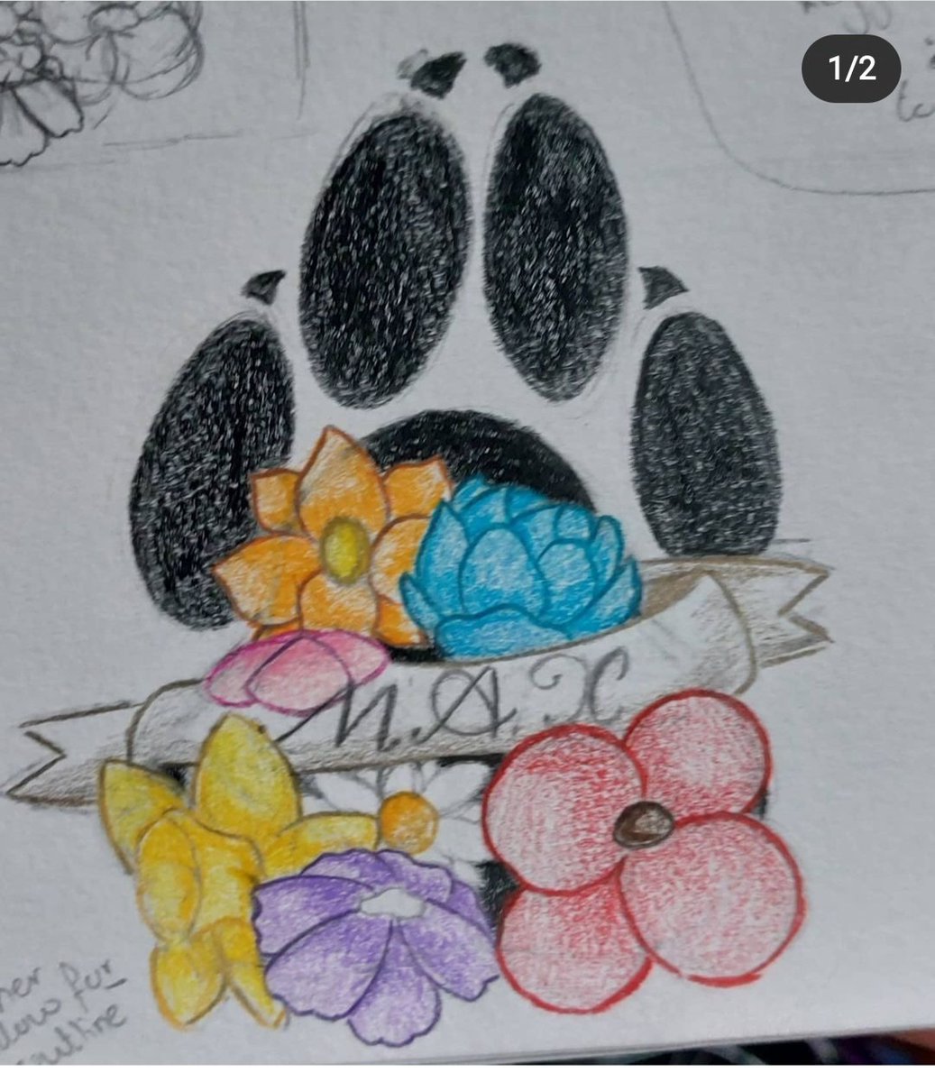 welshie29's tweet photo. My tattoo  design by my beautiful daughter ❤️ in memory of my beautiful Max 😢
Rip my boy 💙
#tattoo #memoryofpet #springer #myboy #max https://t.co/kDvUtMvg2J