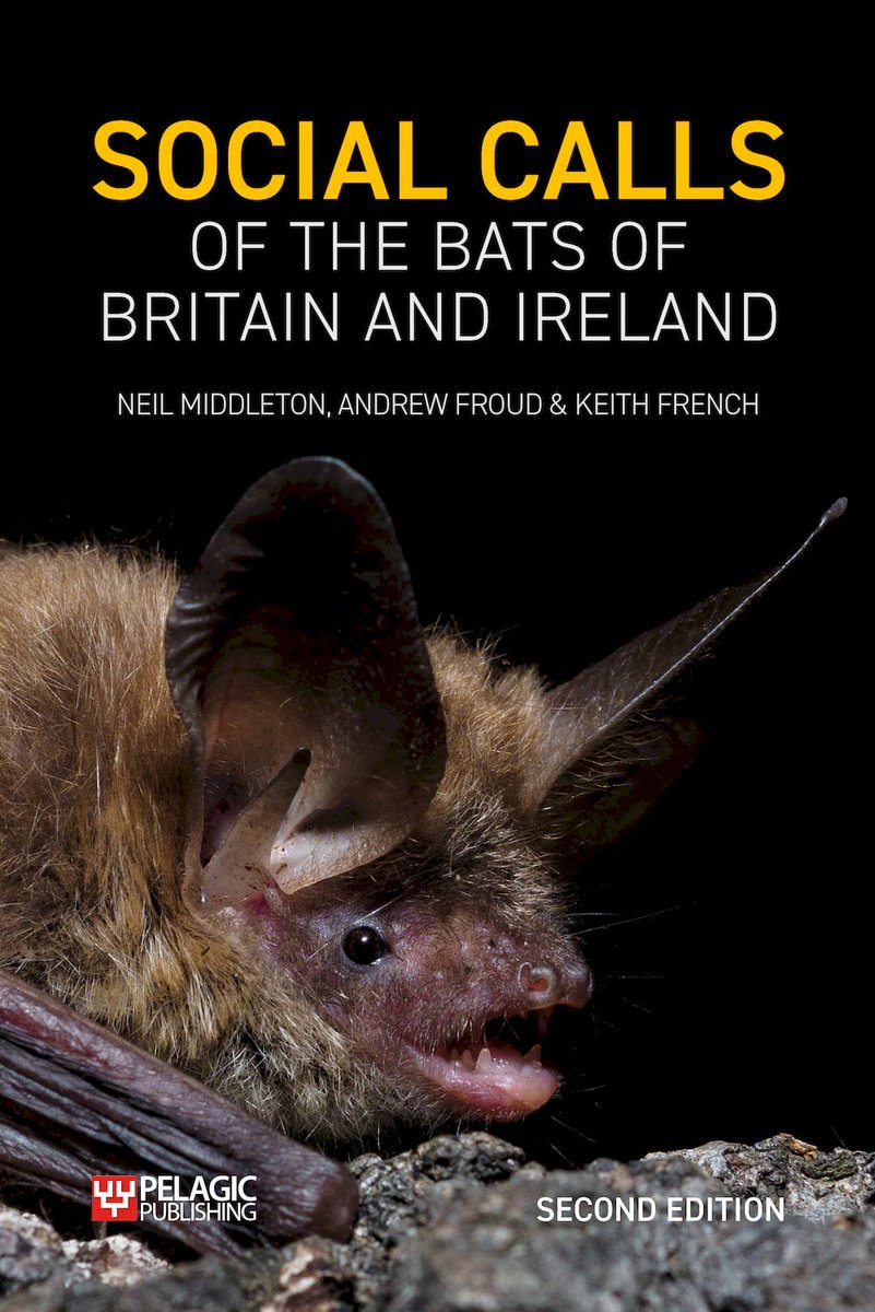 WildlifeAcoust's tweet photo. Webinar attendees: Listen closely, and tweet your favorite bat fact you learn during the webinar using the #batsocialcalls hashtag! We'll select one winner who will receive a copy of Social Calls of the Bats of Britain and Ireland by our speaker Neil Middleton 🦇 https://t.co/sFvVQFZ8Yh