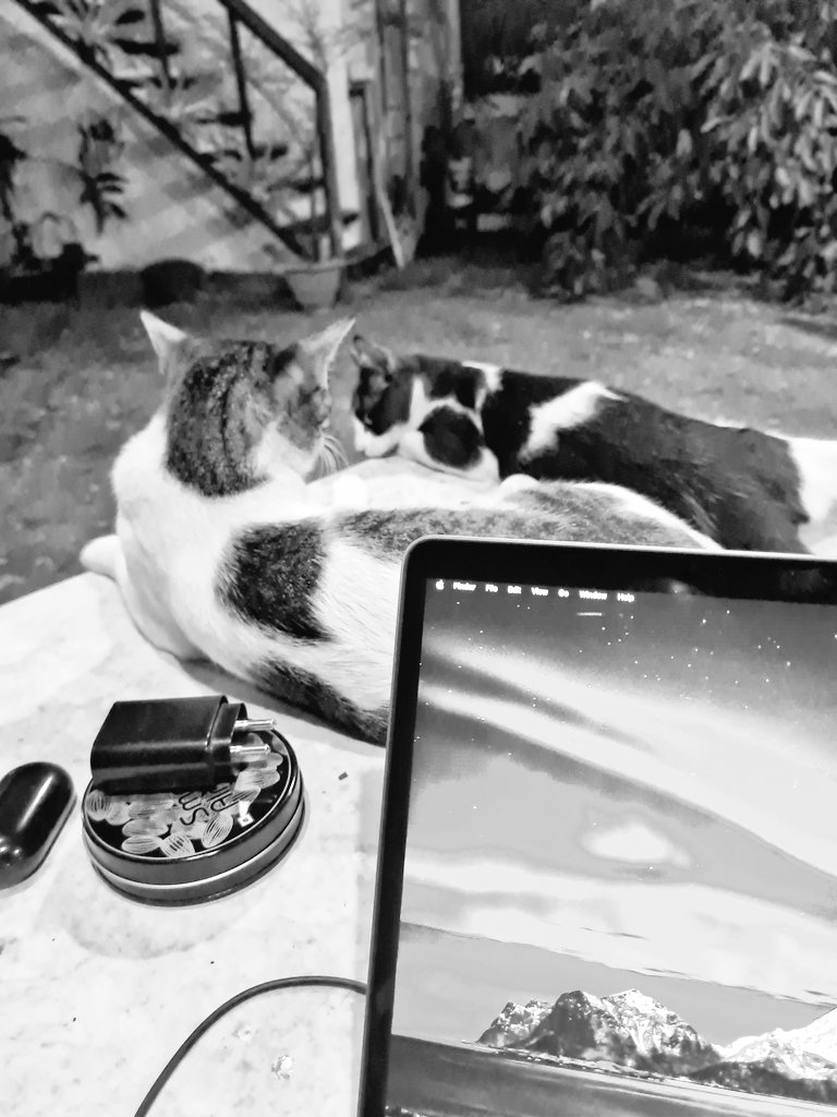 𝗦𝗮𝗻𝗶𝗹 tweet media