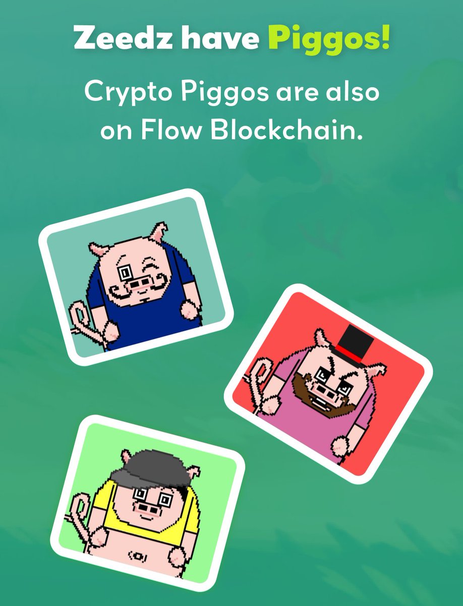 zeedz_official's tweet photo. Excited to share that we have Piggos!!!!😍😃🥳

The Crypto Piggos Community help to promote sustainability initiatives, gender equality and campaigns against animal cruelty @Piggos_nft 💚

#sustainability #CryptoPiggos #NFTs #NFTCommunity https://t.co/1GLb18V9s9