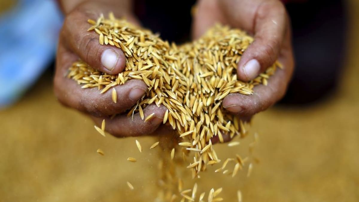 ChannelNewsAsia's tweet photo. Thailand rice rates rise on demand from Middle East https://t.co/29noihYN50 https://t.co/uonDfKBLMM