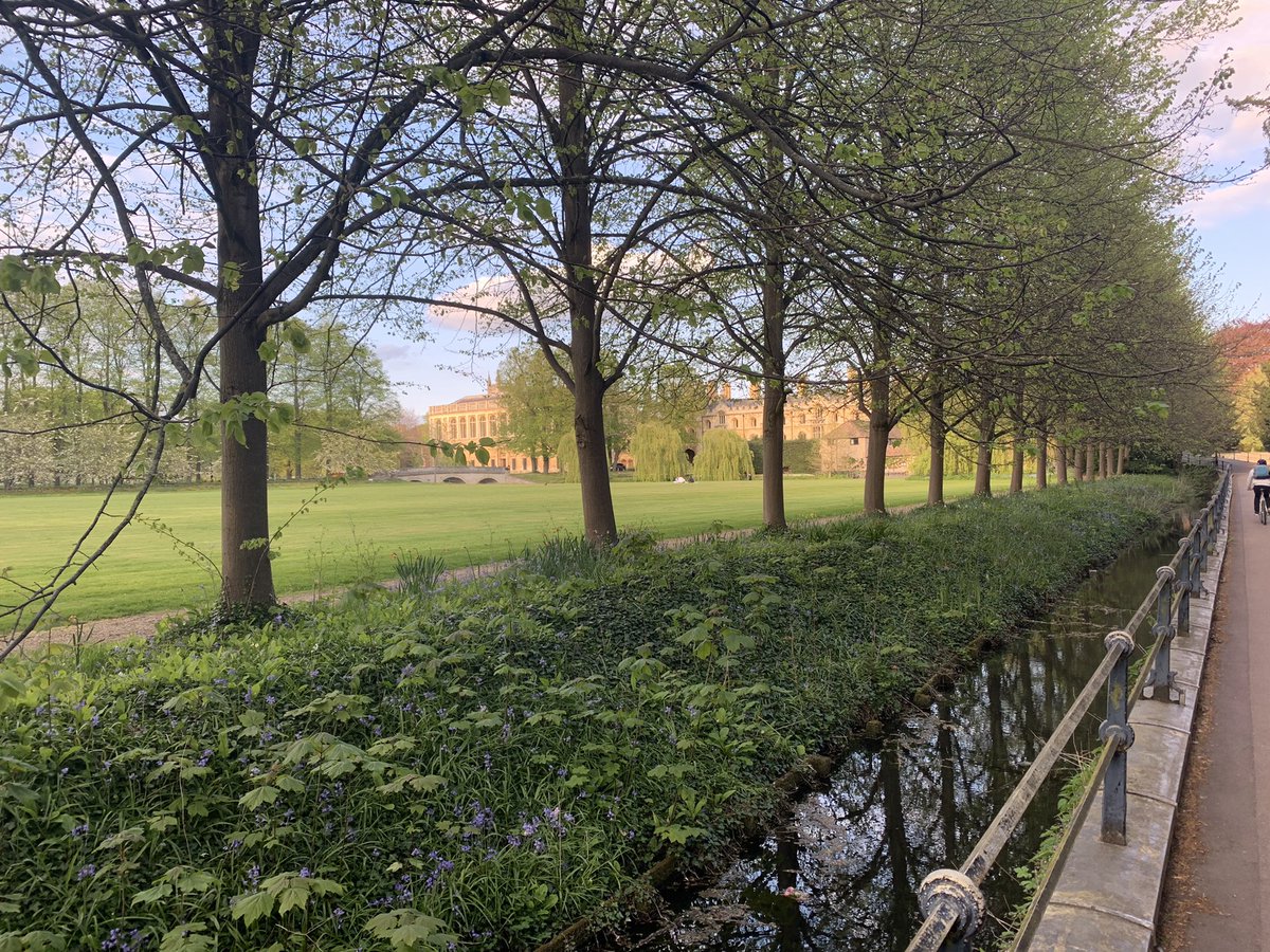 It’s bank holiday weekend! We are open tomorrow and Saturday but closed on Monday (2nd May). All bakery orders for Tuesday must be placed by 2pm tomorrow (29th April). See you on the other side!