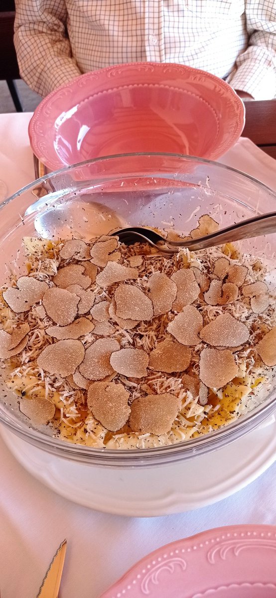 adriawildlife's tweet photo. "At home he feels like a tourist..."
Truffles with fresh pasta at the mythical #Dolina restaurant in #Gradinje, N. Istria. ππ·. π https://t.co/UptRlMiPuD