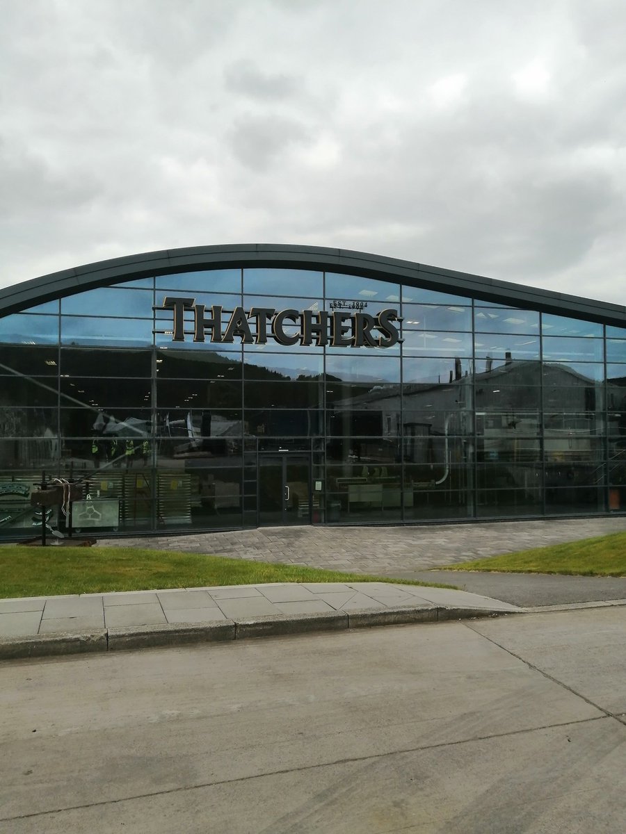 Rachel Lingley tweet media