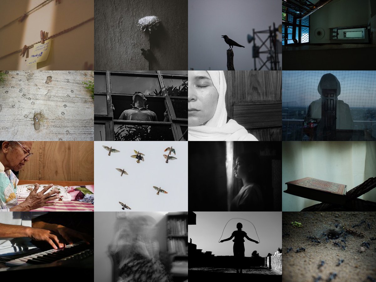 A six-month mentorship programme by <a href="/Refugees/">UNHCR, the UN Refugee Agency</a> 🇮🇳 turns eight young refugees in #NewDelhi into visual storytellers as they reflect on their personal journeys of loss and hope and their search for identities through the lens of their cameras.

📸 story express.adobe.com/page/RjzTfohfa…