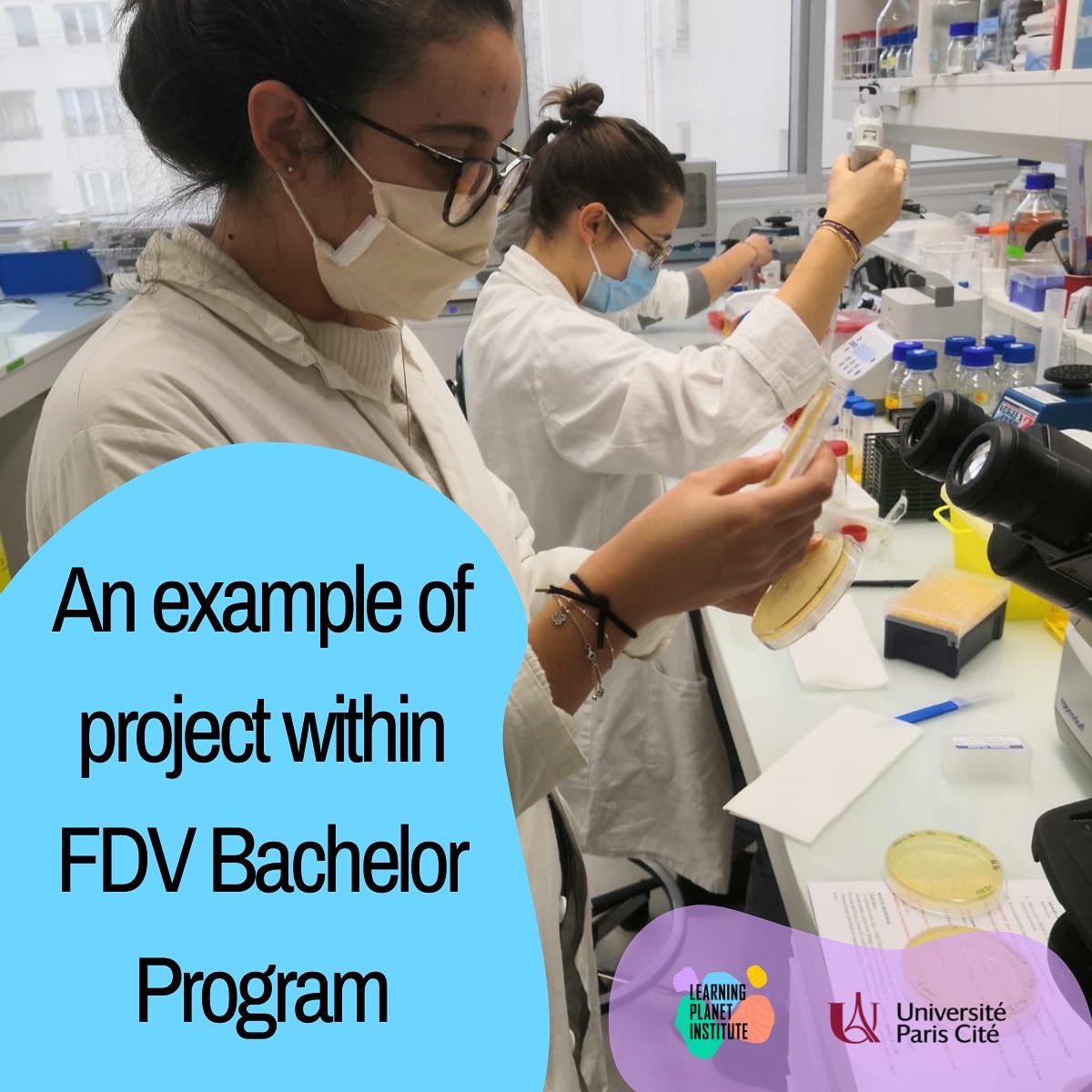 Licence FdV tweet media