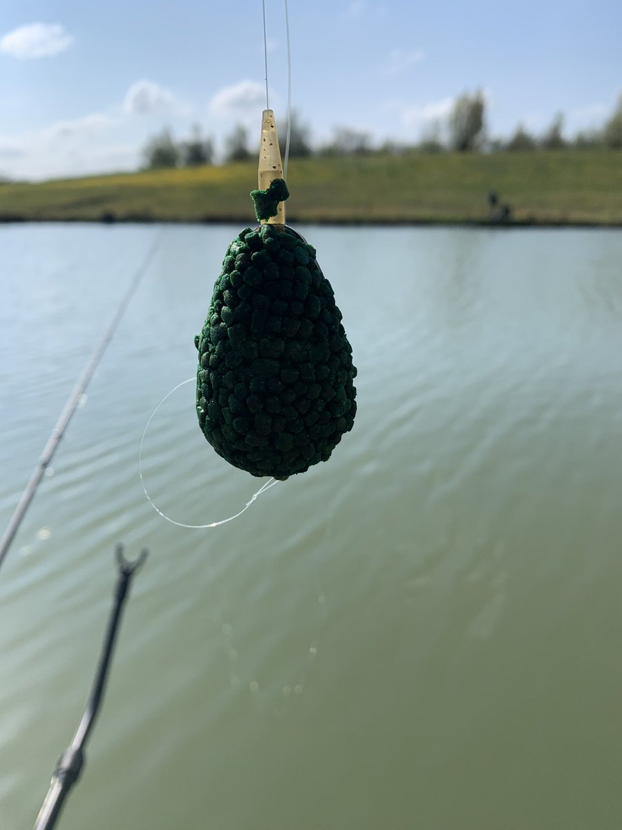 Chrisangling82's tweet photo. Feed my beauties, feed!
#fishing #carp #methodfeeder #swimstim #findmeonthelake https://t.co/ouuWaNTkoy