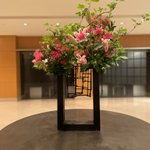 稲葉 朋子(Tomoko Inaba)のツイート画像