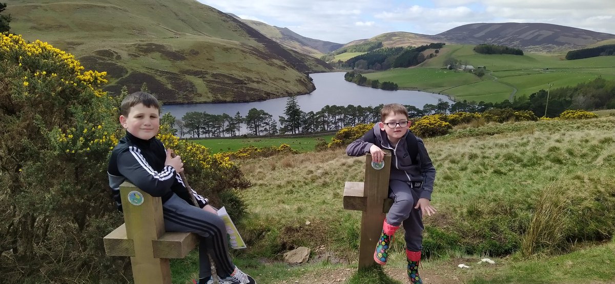 Bill Stephen tweet media