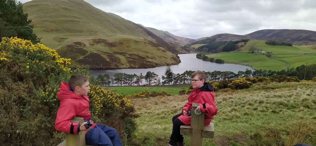 Bill Stephen tweet media