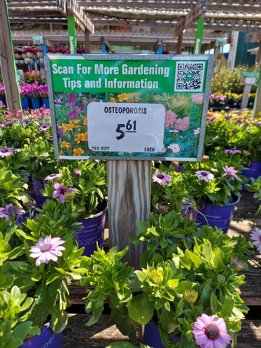 Hmm 🤔 Not sure if I’ve heard of that plant before…
#GardeningTwitter #Gardening #Plants #Flowers