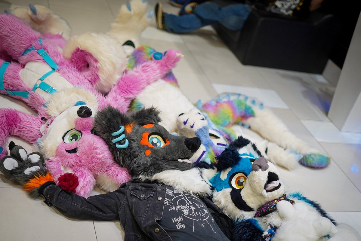 tatosnowleopard's tweet photo. A couple photos from day 0 of furdu. It's so nice to see everyone in the flesh again or for the first time. https://t.co/QxsX5aD9FD
