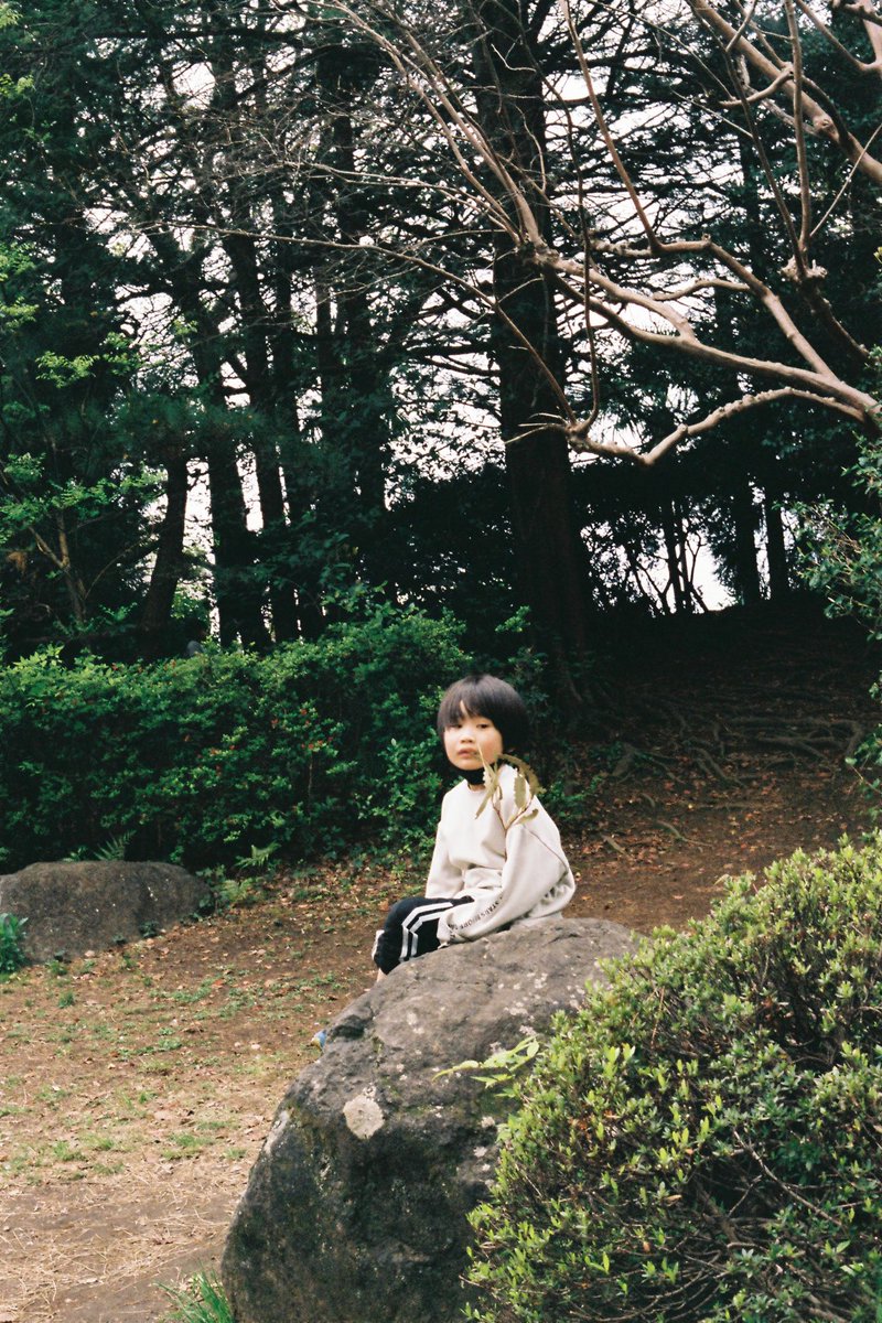 senshm's tweet photo. こんな感じになりました
#filmphotography 
#contaflex https://t.co/eaLY6S9Q1G