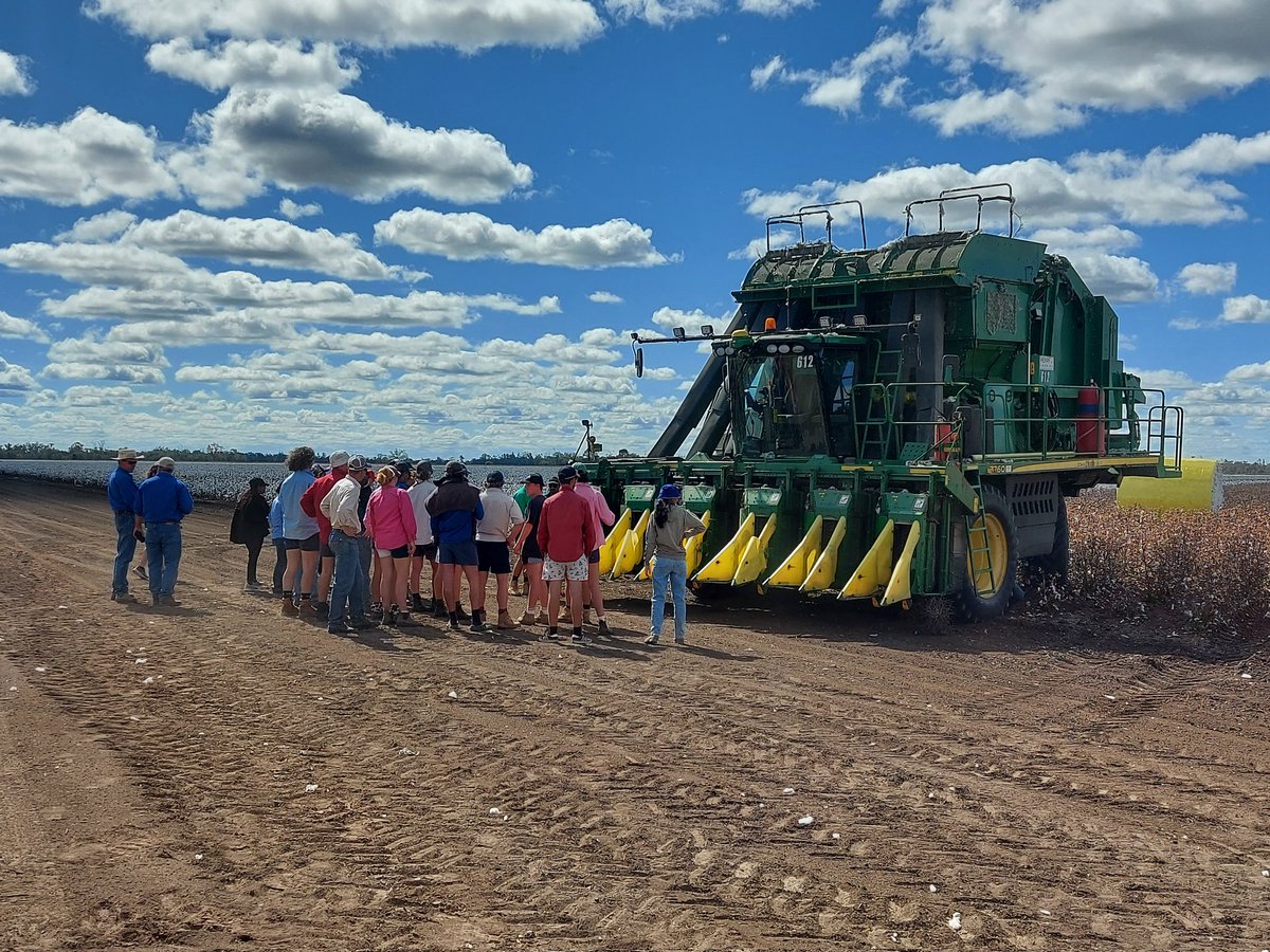 CottonHubUNE's tweet photo. Finished the @ERS_UNE and @CottonResearch supported Cotton Production intensive today with a CP770. Incredible pickers, when they are moving. Also great to get a day without #rain https://t.co/bjd2OPxPYp