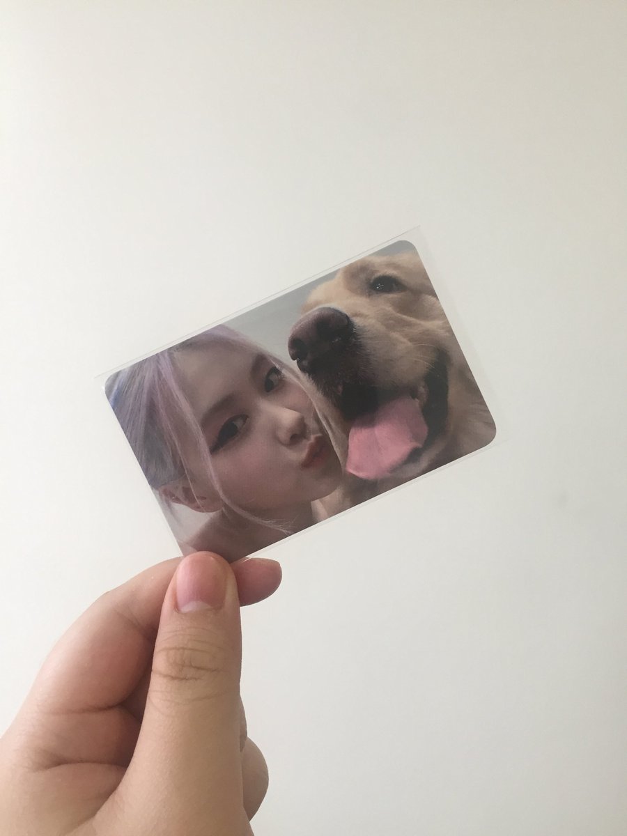 aimee_cart's tweet photo. 💌 #aimee_mails

Rosé and manju came home today!! Cutest pc ever😍 thank u @nayeoncakes_ for packing it securely and for the freebies ^^

#nayeoncakes_proofs https://t.co/kJ8ZNaOYJR