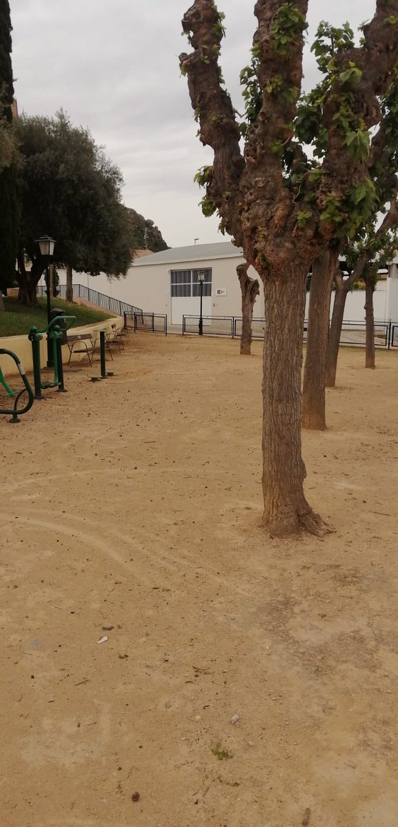 campoy1980's tweet photo. Tras pasar petición al servicio correspondiente, el Jardín de La Cruz se pone guapo para celebrar su día grande!!❤️❤️
#VivaLasFiestasDeLaCruz
#ElCollado
Gracias @parquesdemurcia https://t.co/qS8KFqJROu