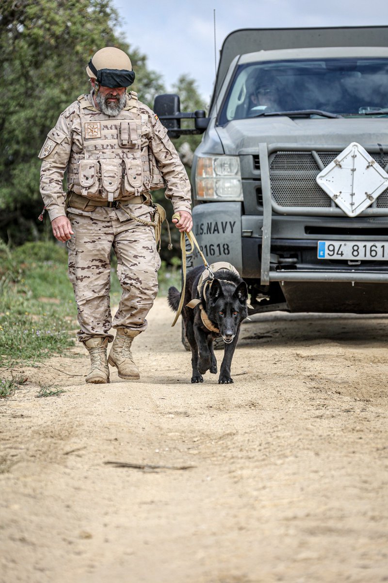 Armada_esp's tweet photo. Los diversos escenarios del ejercicio #MasterBlaster22 se suceden a la par que aumenta la complejidad de los mismos, respecto a la naturaleza de los dispositivos a neutralizar.
📷 Reconocimiento de área con efectivos @USNavyEurope con apoyo cinológico.
#SomosLaArmada🇪🇸⚓️ https://t.co/MesyVVCn9c