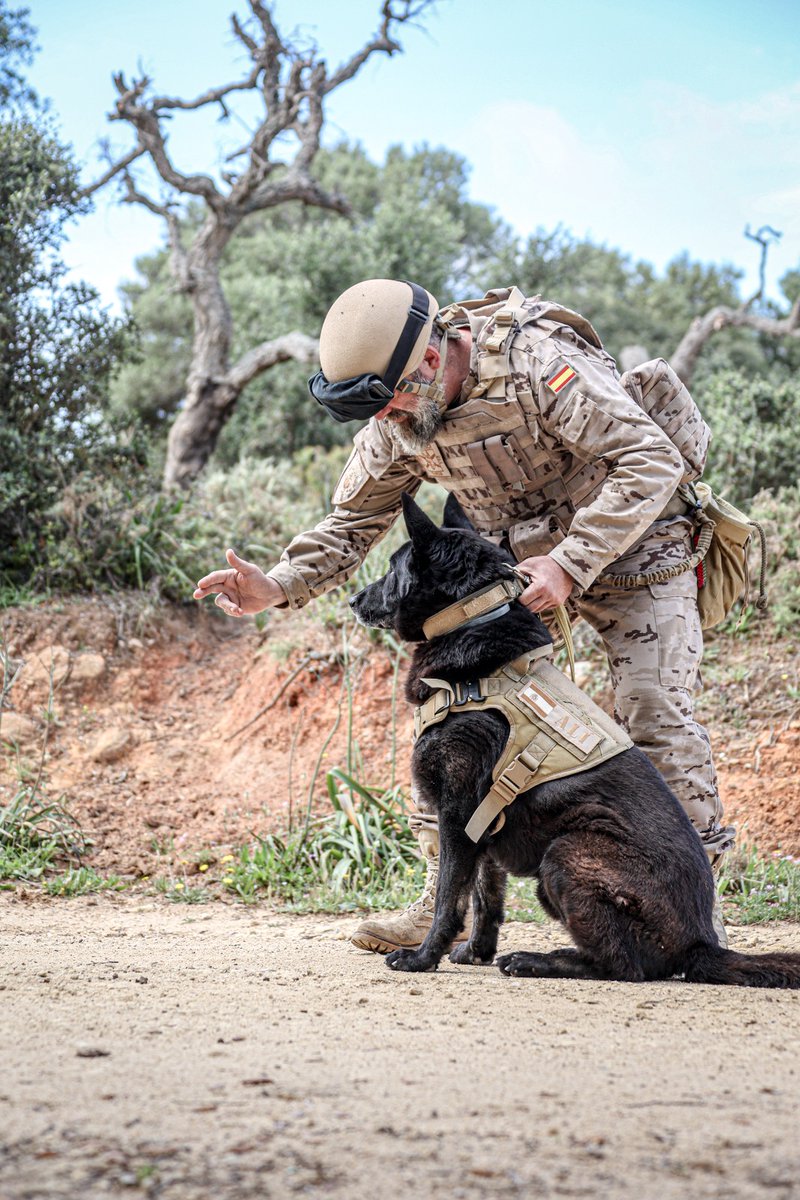 Armada_esp's tweet photo. Los diversos escenarios del ejercicio #MasterBlaster22 se suceden a la par que aumenta la complejidad de los mismos, respecto a la naturaleza de los dispositivos a neutralizar.
📷 Reconocimiento de área con efectivos @USNavyEurope con apoyo cinológico.
#SomosLaArmada🇪🇸⚓️ https://t.co/MesyVVCn9c