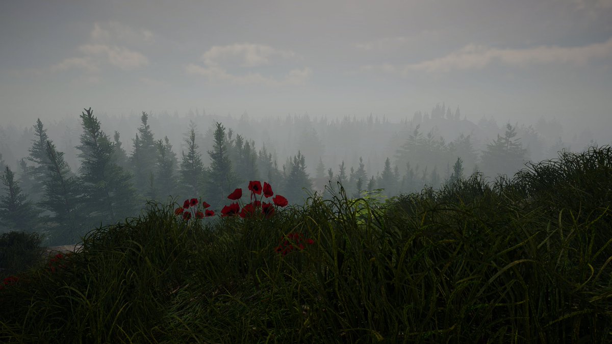 - Here is sneak peak of the biome that is being implemented in #GOD's MMO that will come out soon.
- The whole system will be quite complex, more info on this will come shortly.😉

#BSC  #NFTCommunity #NFT #bscgems #gameofdragons #Airdrop