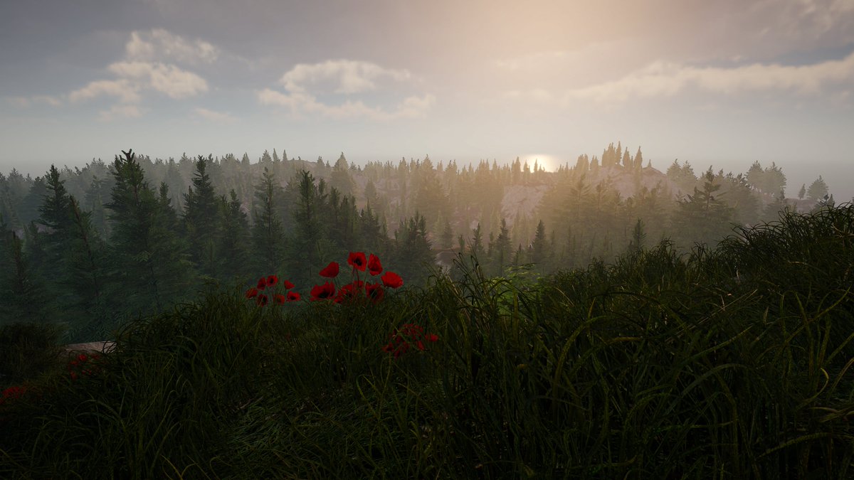 Game_of_Dragons's tweet photo. - Here is sneak peak of the biome that is being implemented in #GOD's MMO that will come out soon.
- The whole system will be quite complex, more info on this will come shortly.😉

#BSC  #NFTCommunity #NFT #bscgems #gameofdragons #Airdrop https://t.co/ZewnaqIzbJ